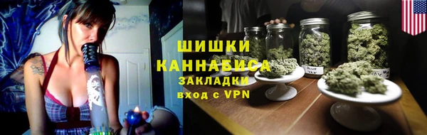 прущие грибы Богородицк
