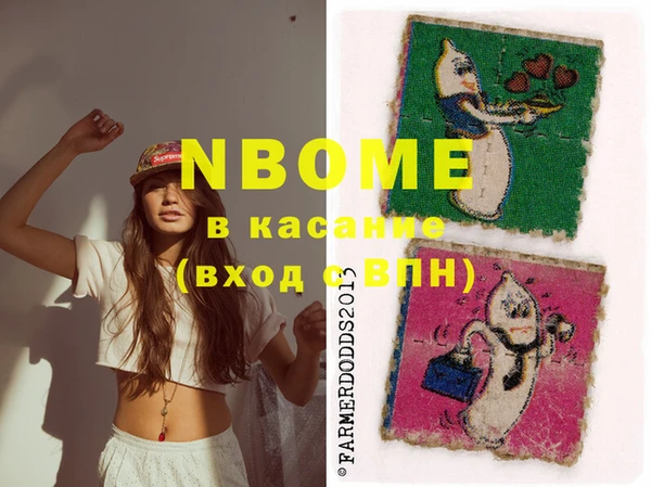 крисы Заречный