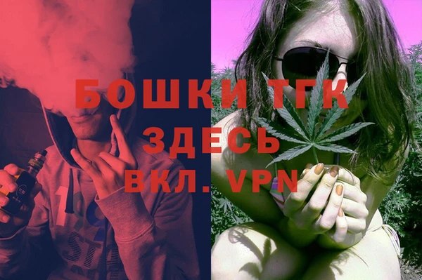 прущие грибы Богородицк