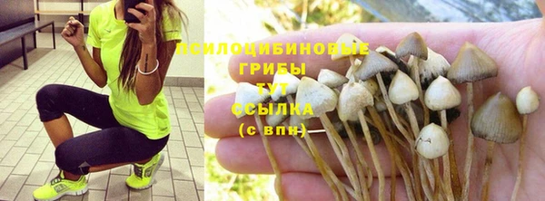 крисы Заречный