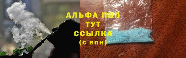 прущие грибы Богородицк