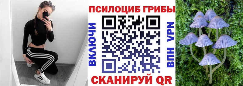Галлюциногенные грибы ЛСД  Гулькевичи 