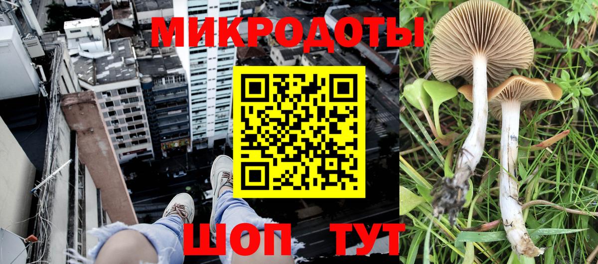 Гулькевичи  Галлюциногенные грибы ЛСД  Псилоцибиновые грибы Psilocybe  Вход с VPN 